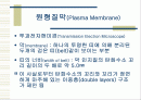 세포 수송(CELL TRANSPORT) 2페이지