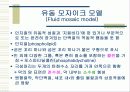 세포 수송(CELL TRANSPORT) 3페이지