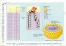 세포 수송(CELL TRANSPORT) 8페이지
