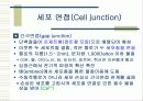 세포 수송(CELL TRANSPORT) 9페이지