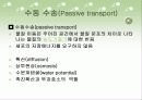 수송 메카니즘(Mechanisms of transport) - PPT자료 3페이지