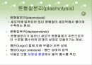 수송 메카니즘(Mechanisms of transport) - PPT자료 14페이지