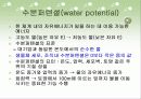 수송 메카니즘(Mechanisms of transport) - PPT자료 15페이지