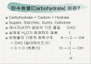 탄수화물(Carbohydrate) - PPT자료 2페이지