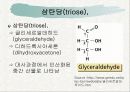 탄수화물(Carbohydrate) - PPT자료 4페이지