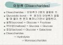 탄수화물(Carbohydrate) - PPT자료 9페이지