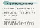탄수화물(Carbohydrate) - PPT자료 14페이지
