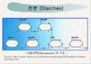 탄수화물(Carbohydrate) - PPT자료 16페이지