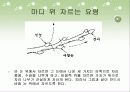 농업고등하교 조경교과 교수학습자료 식물재료 16페이지