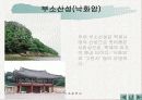 백제의 문화를 찾아서 12페이지