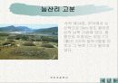 백제의 문화를 찾아서 14페이지