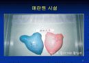 미혼모 복지 30페이지