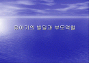 유아기의 발달과 부모역할 1페이지