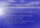유아기의 발달과 부모역할 13페이지
