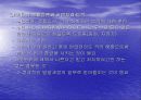 유아기의 발달과 부모역할 23페이지