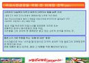 켈로그의 마케팅 전략 19페이지