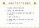 [초등실과] 쓰레기 처리하기 수업 활용 교수학습자료 4페이지