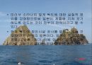 독도에 대한 가치와 일본의 의도 19페이지