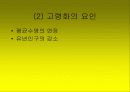 노인문제의 원인과 인권 노인복지의 문제 13페이지