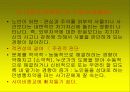 노인문제의 원인과 인권 노인복지의 문제 41페이지