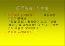 노인문제의 원인과 인권 노인복지의 문제 45페이지