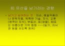 노인문제의 원인과 인권 노인복지의 문제 47페이지
