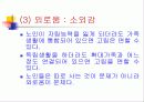 노인문제의 올바른 이해와 향후 대책 29페이지