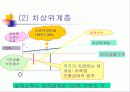 노인문제의 올바른 이해와 향후 대책 33페이지