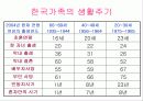 노인문제의 올바른 이해와 향후 대책 40페이지