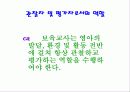 보육교사의 자질과 역할 14페이지