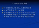 우리나라 노인주거보장정책의 현황과 문제점 및 개선방향 2페이지