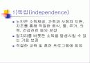 노인복지정책의 기초 12페이지