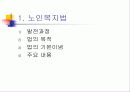 노인복지정책의 기초 29페이지