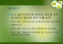 노인복지실천의 이해 17페이지