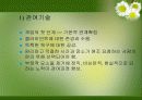노인복지실천의 이해 27페이지