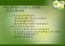 노인복지실천의 이해 30페이지