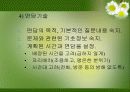 노인복지실천의 이해 31페이지