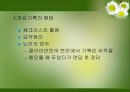 노인복지실천의 이해 35페이지