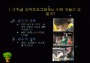 가학성 오락프로그램의 실태와 해결방안 9페이지
