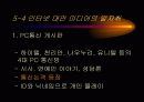 사이버 민주주의의 가능성 9페이지