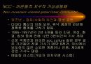 사이버 민주주의의 가능성 19페이지