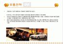 마케팅 믹스 사례보고서 13페이지