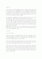 정보화의 문제와 대책 11페이지