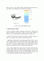한국 빗물 모으기 운동의  현황과 전망 4페이지
