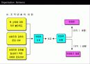 조직의 개발과 변화에 관한 연구 14페이지