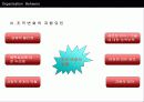 조직의 개발과 변화에 관한 연구 16페이지