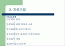[가족과상담]구조적가족치료의 이해 14페이지