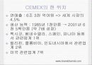 [경영전략, 마케팅전략] CEMEX의 경영전략 12페이지