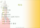전산통계학_이순신장군의 연승요인분석 2페이지