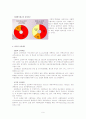 [교육사회학]교육평준화의 분석과 발전방향 9페이지
